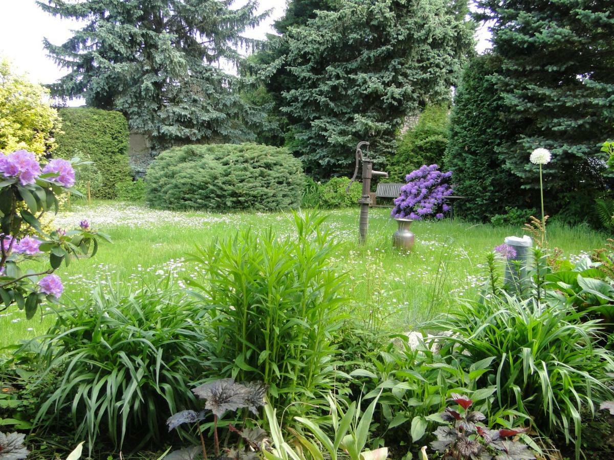 Sommerhaus Im Gruenen Berlin Dış mekan fotoğraf